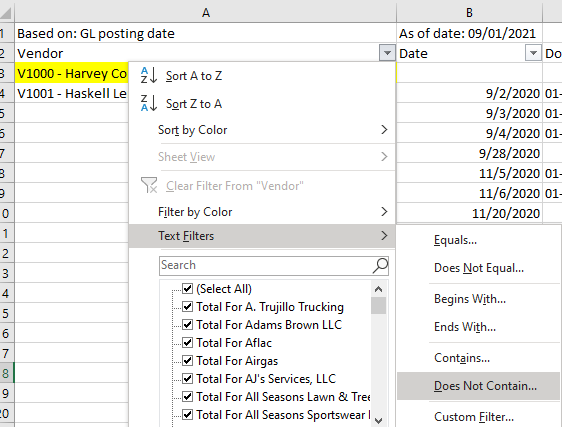 Excel filter added to AP ledger export