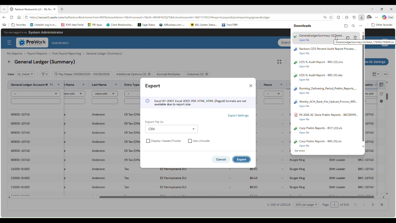 ProWork export dialog with CSV format selected